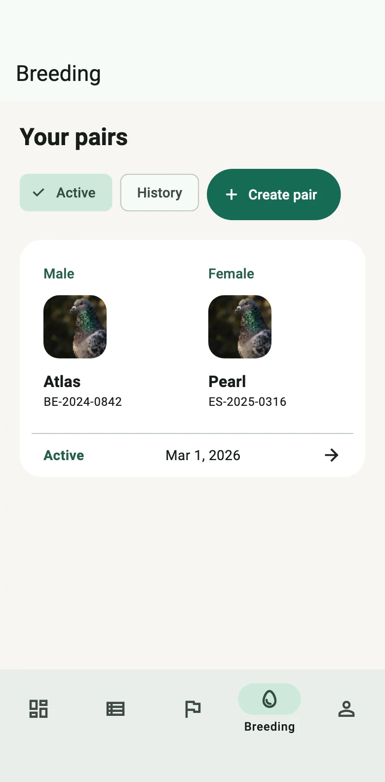 The app’s Breeding screen showing an active pair, the cock Atlas and the hen Pearl, with their rings and start date.