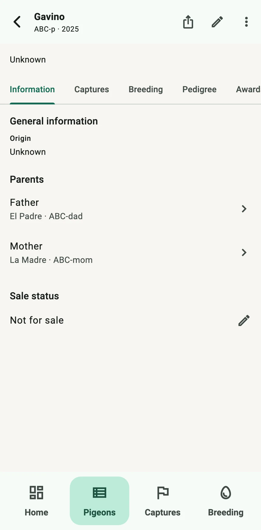 The app’s record for a pigeon named Gavino, with Information, Captures, Breeding, Pedigree and Awards tabs, its father, mother and sale status.